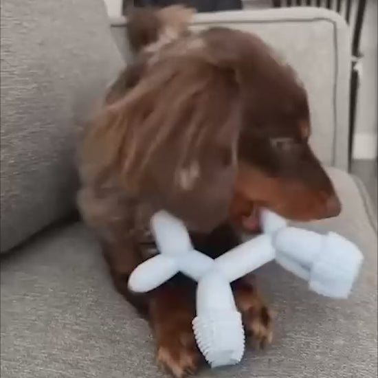 @minidoxbenny