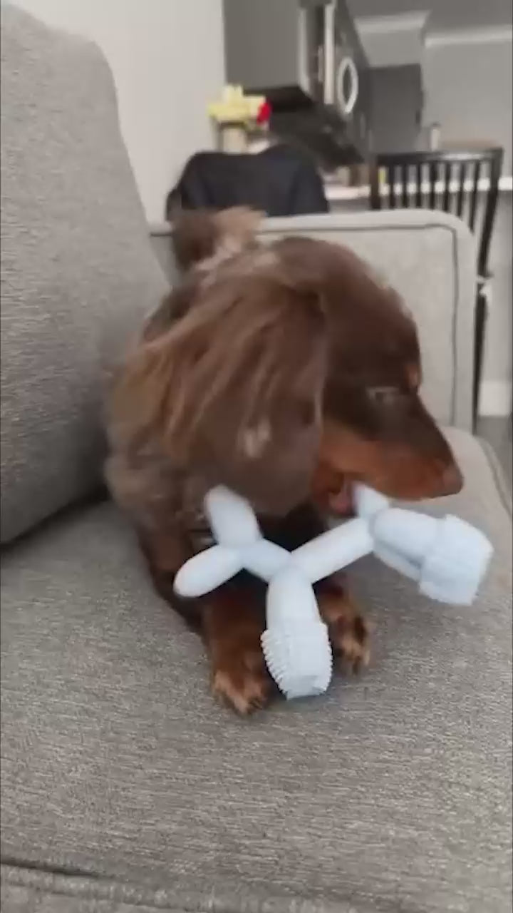 @minidoxbenny