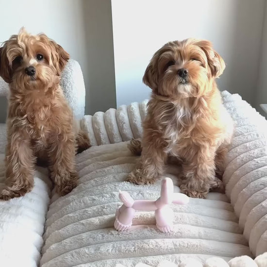 @mapleandmaisy