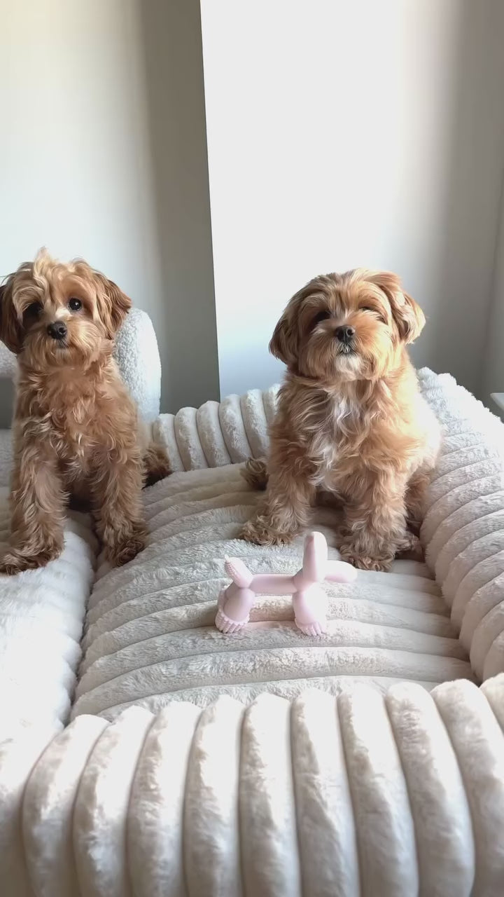 @mapleandmaisy